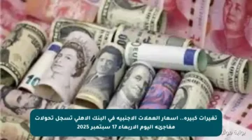 تغيرات كبيرة.. أسعار العملات الأجنبية في البنك الأهلي تسجل تحولات مفاجئة اليوم الأربعاء 17 سبتمبر 2025
